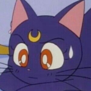 Meet your Posher, Ciele